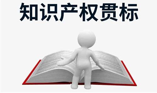 2020年广东省珠海市知识产权贯标奖励政策汇总